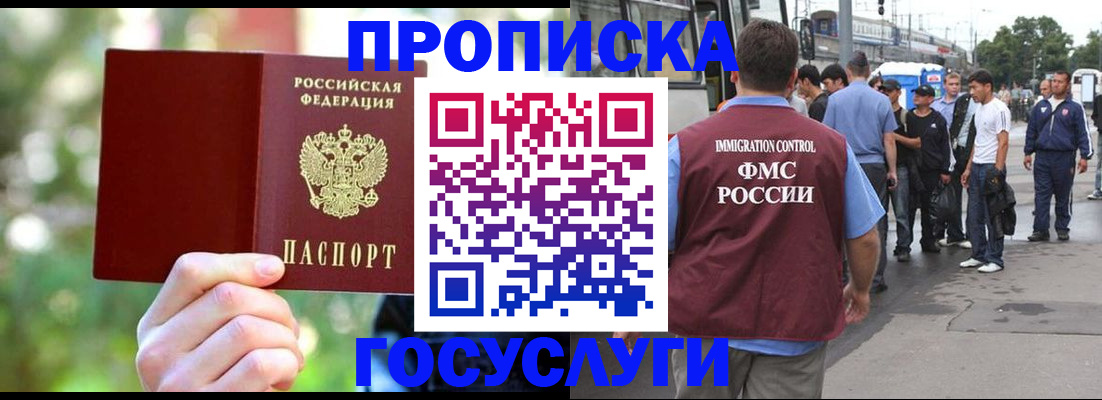 прописка поиск в Мамадыше